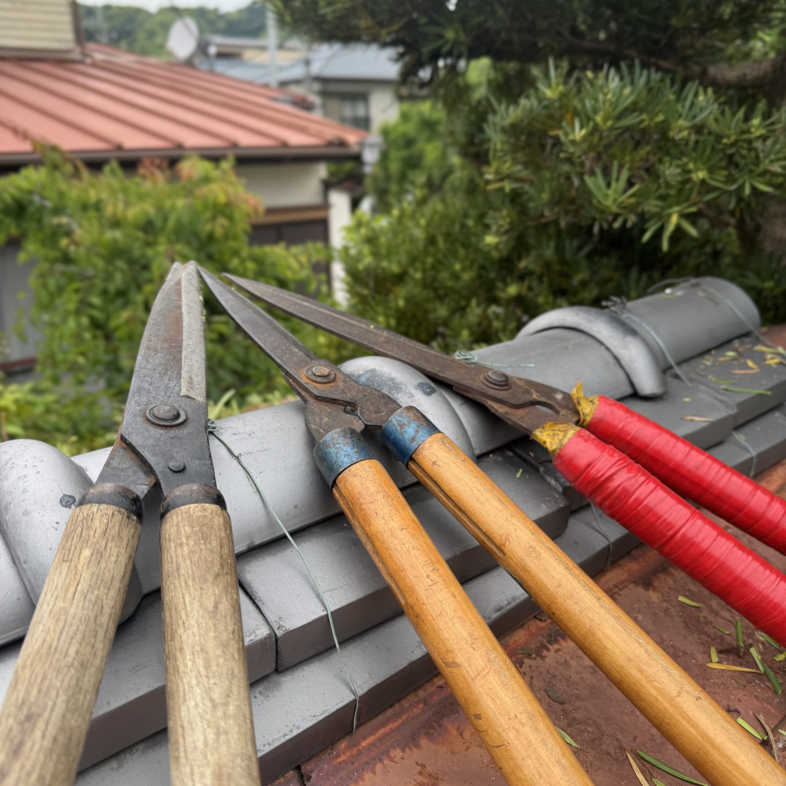 増成 彰信 の写真 2