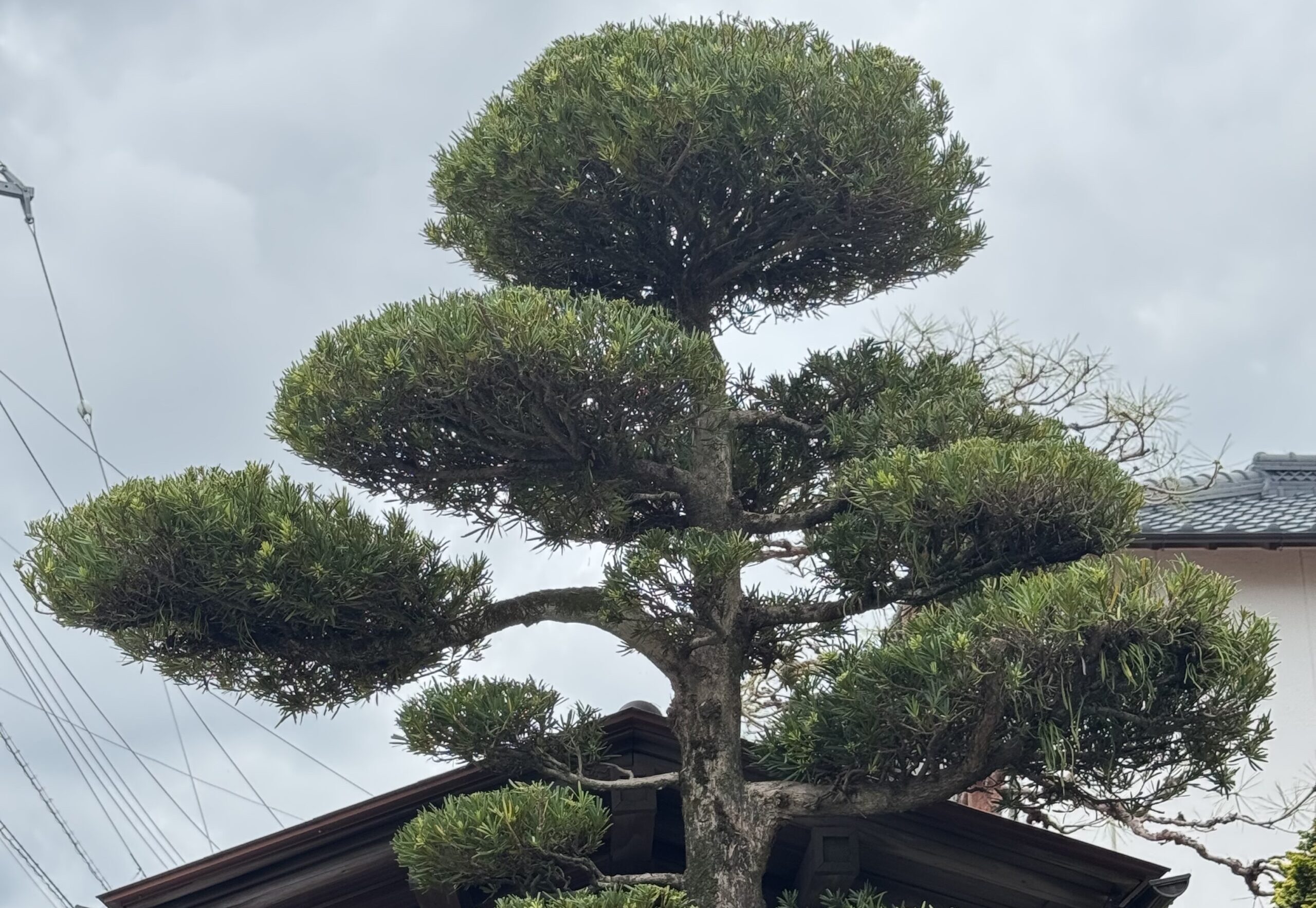 増成 彰信 の写真 3